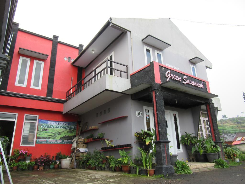 Homestay Savanah Diyeng